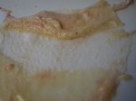 Cutting the fat off the underside of the skin.