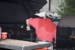 IMG_9590