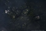 IMG_9615