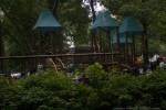 IMG_9620